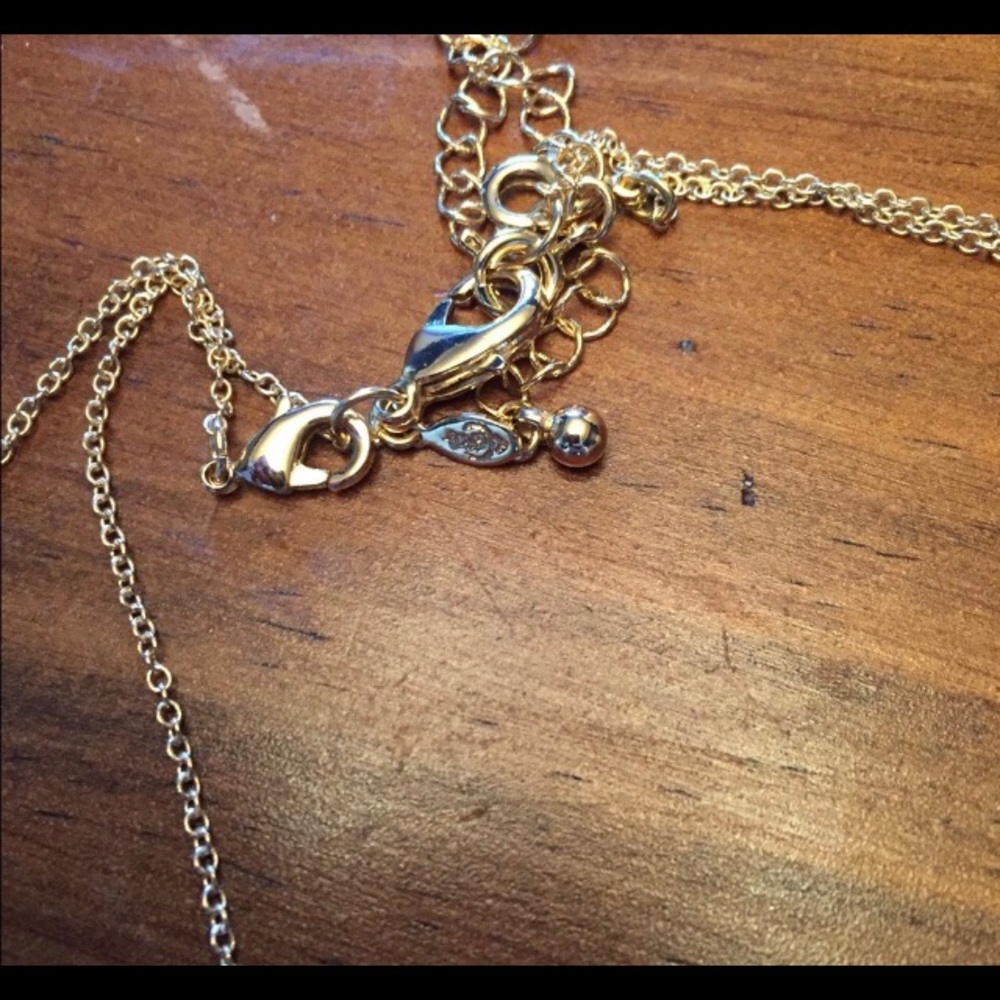 Premier Design Necklaces. - Picture 2 of 4